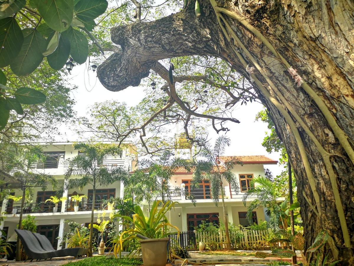 Serendib Village Guest House Negombo Exterior foto